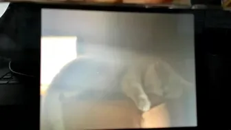 adysweet onlyfans Crazy thing to check her wet pink hole