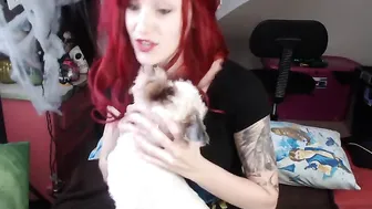 kittyquinn  gets cummed within pussy