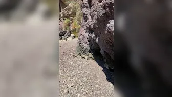 Erotic Medusa aka ruhhvxo onlyfans newest video 11