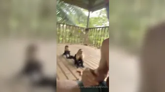 bwctravelvids onlyfans 13_01_2022 Camcording