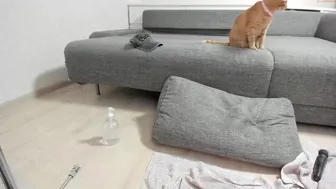 Watch honey_sunshine 13-july-2022 2101_female_chaturbate_2_4