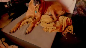 naomidee myfreecams 2022-july-24 09:23_2_2