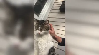 fitbryceadams onlyfans 13-02-2022 latest porn