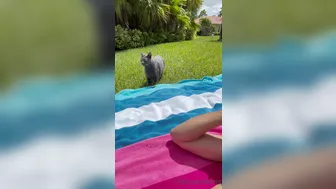 fitbryceadams onlyfans  fucks cunt with fingers