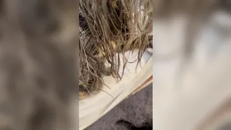 fitbryceadams onlyfans  caresses his fur coat