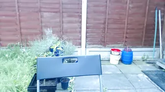 moniquelove69  4 august 2017