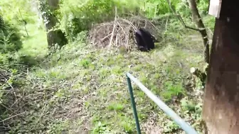 Emmi Hill sex in the woods